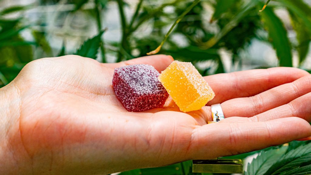 thc edibles